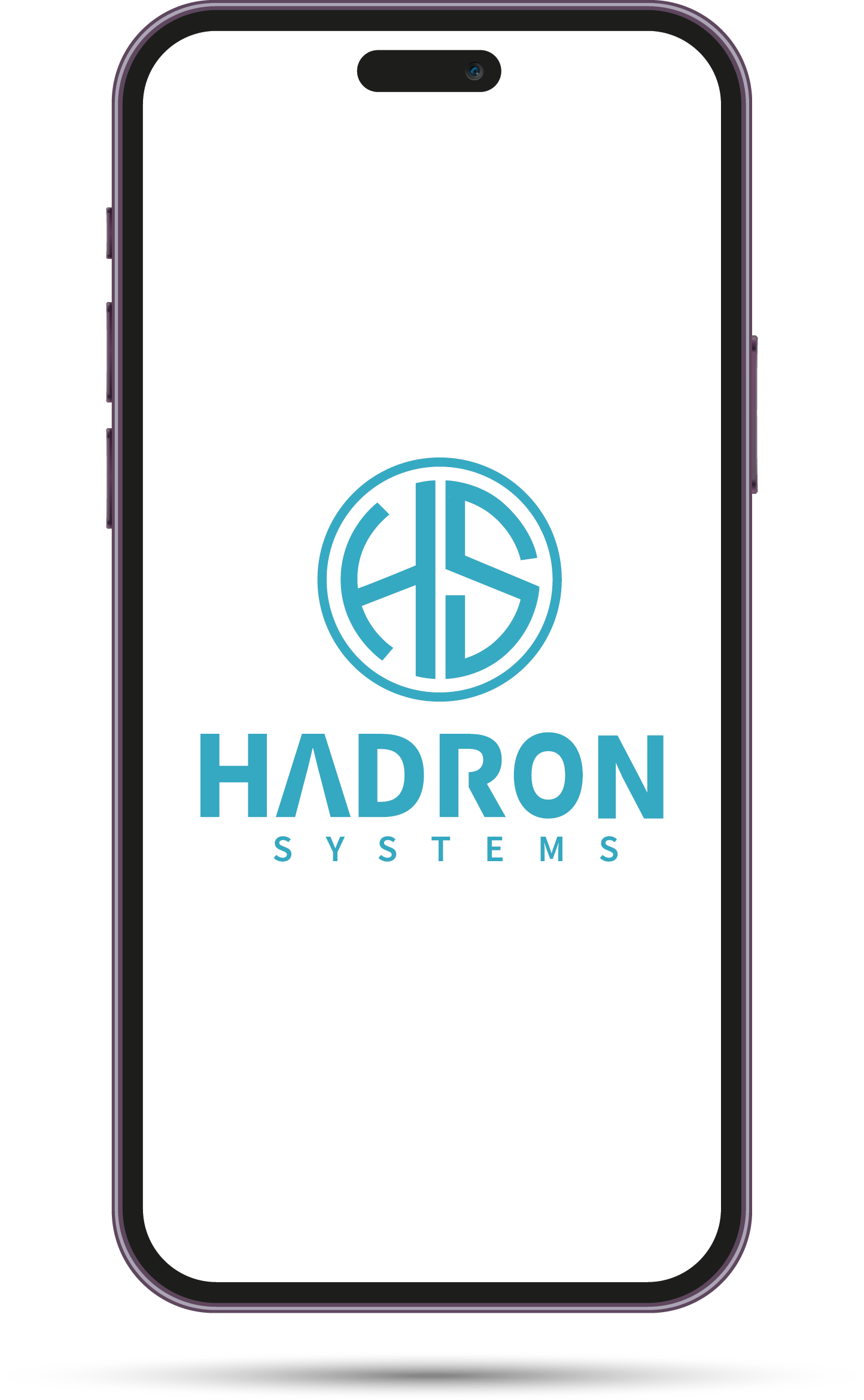 hadron systems /Tecnologia/ Ciberseguridad y soluciones digitales ...